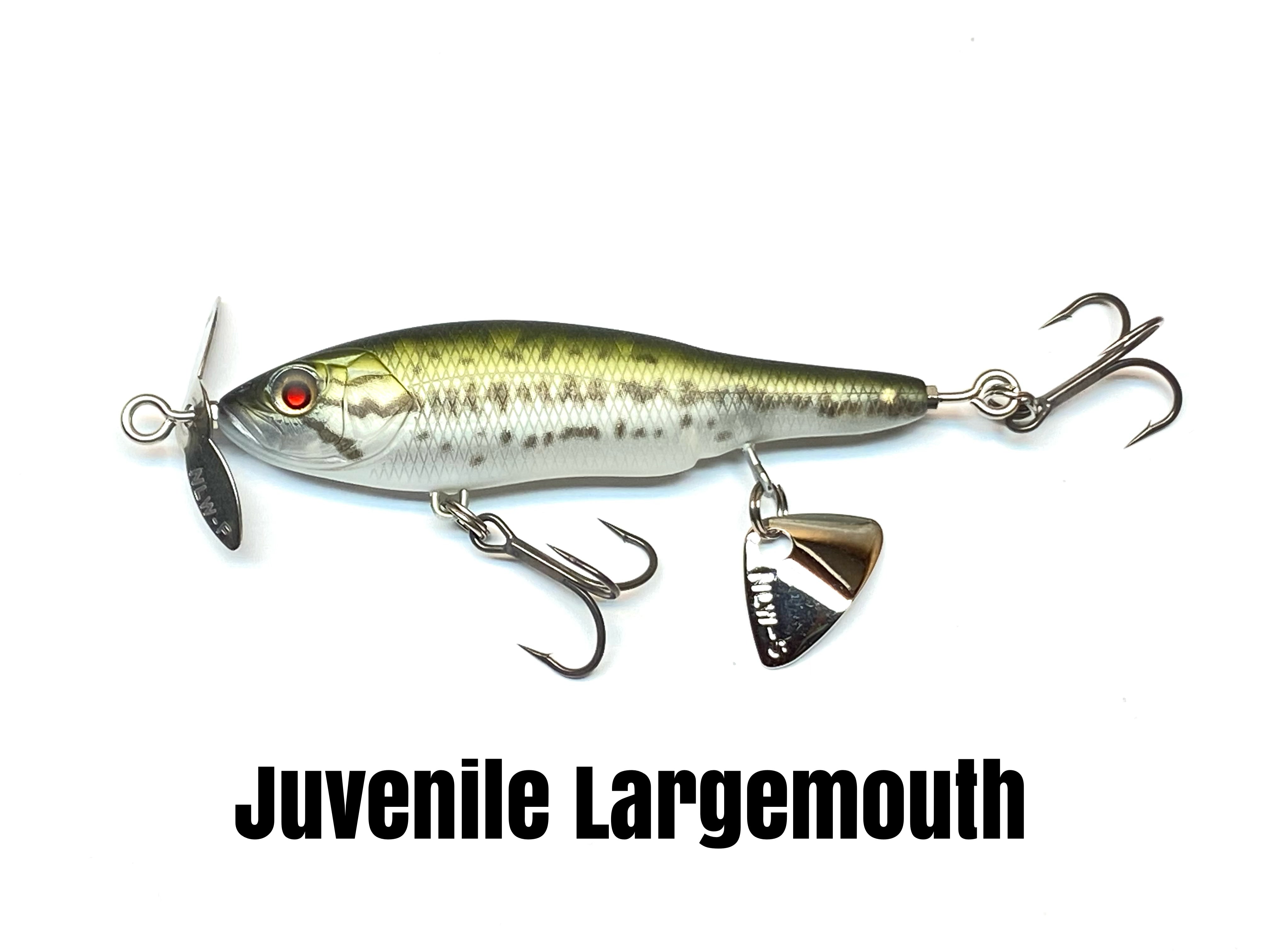 BABY ABINO 70F - Floating Model – Nishine Lure Works