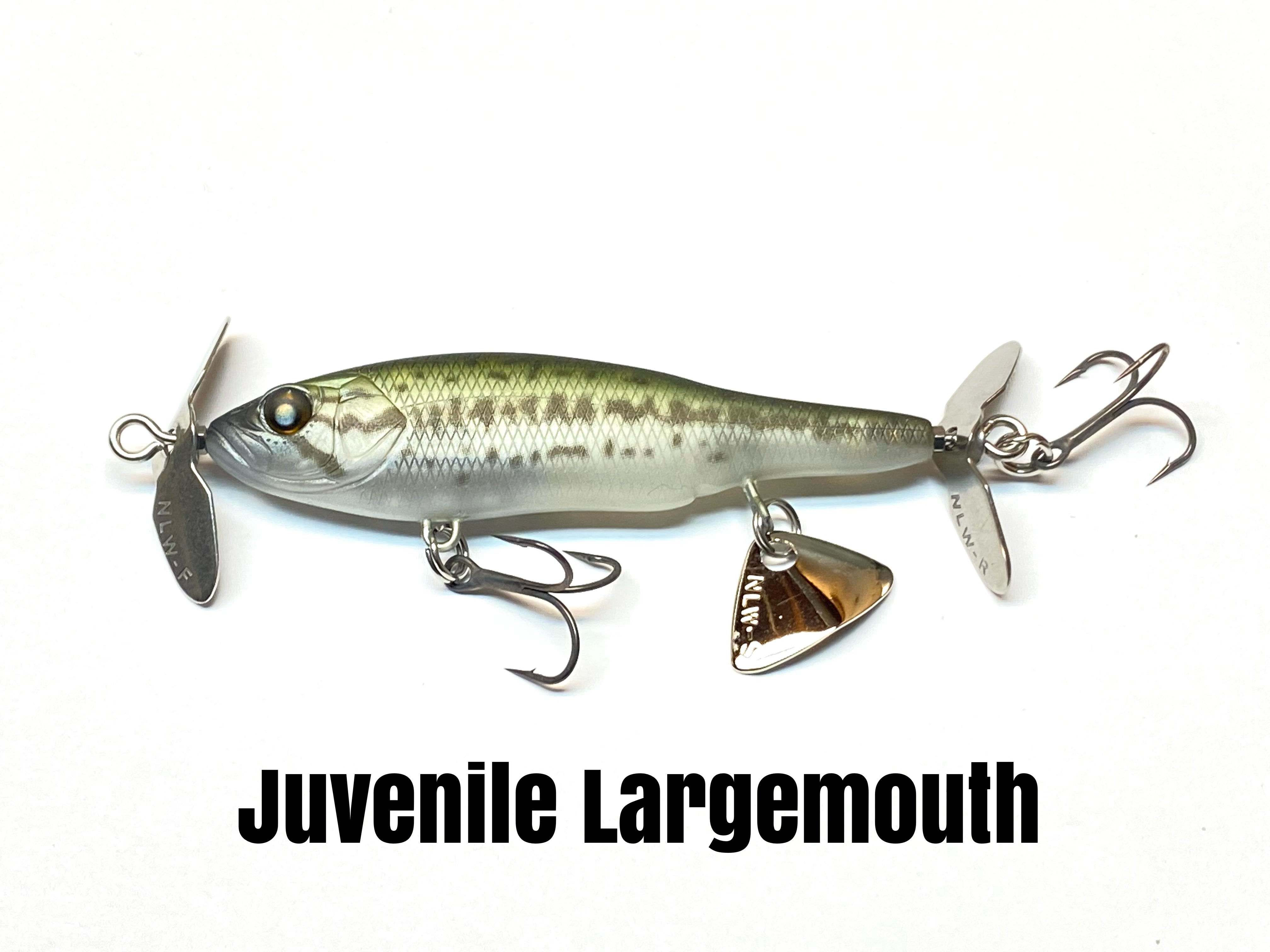 BABY ABINO 70S - Sinking Model – Nishine Lure Works